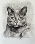 Charcoal Pet Drawing 11"x14"