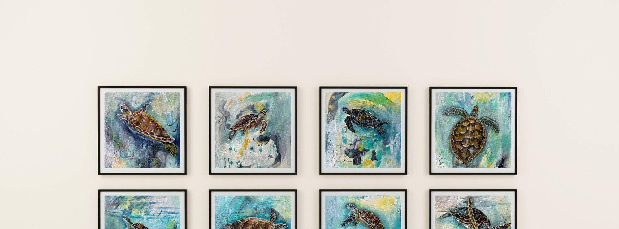 Introducing: The Shelltered Collection 🐢