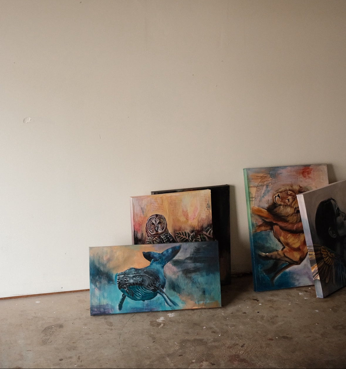 A Sense of Belonging 2026