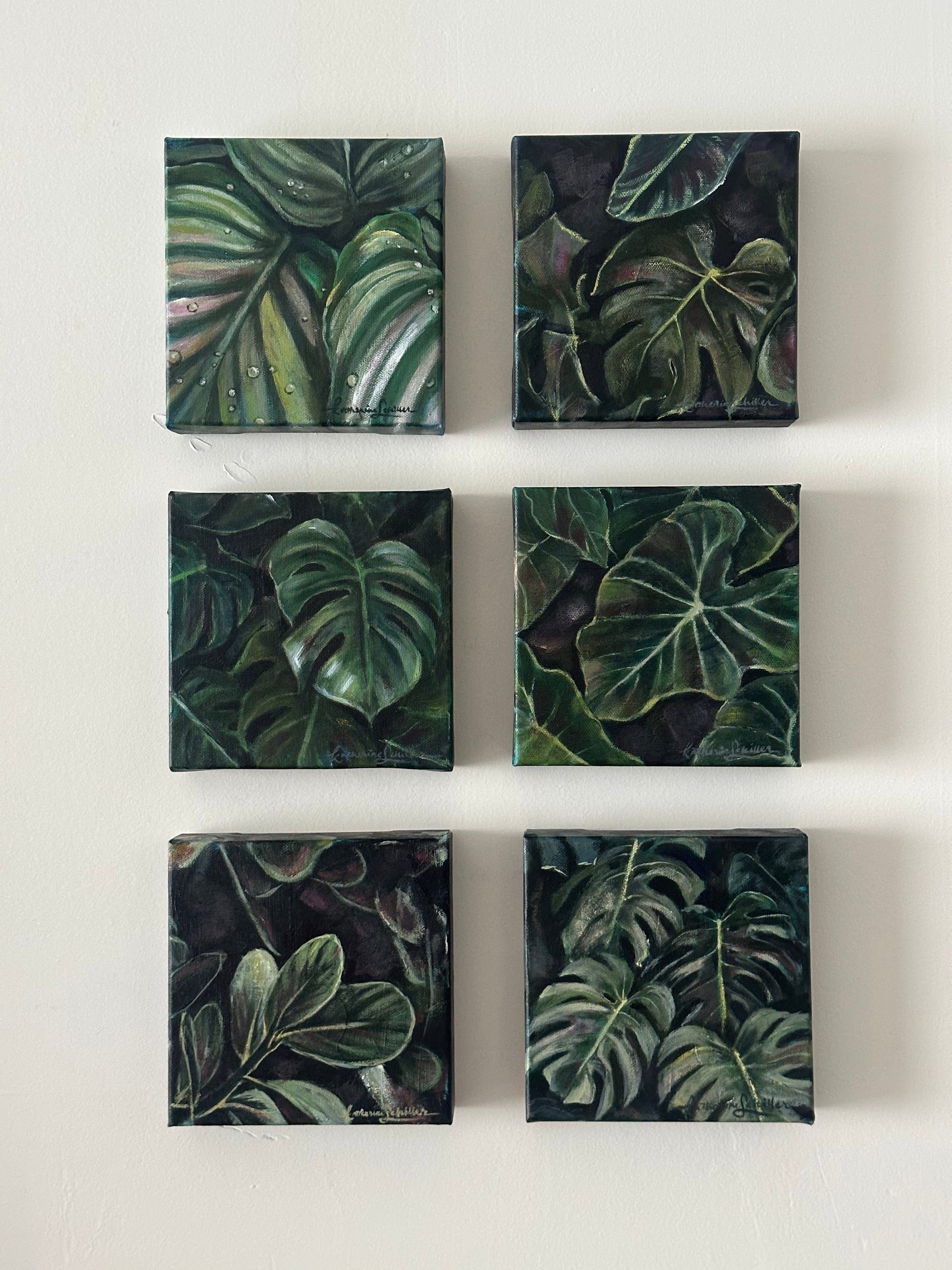 Mini Tropical Plants