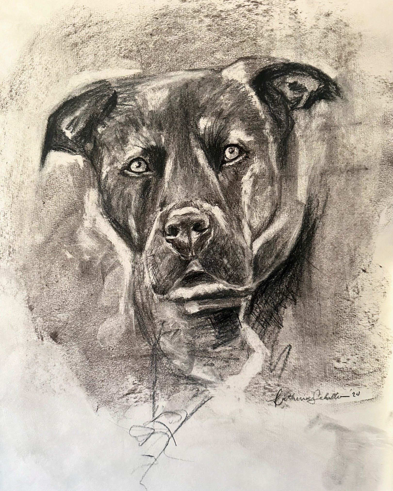 CUSTOM Charcoal Pet Drawing 11"x14"
