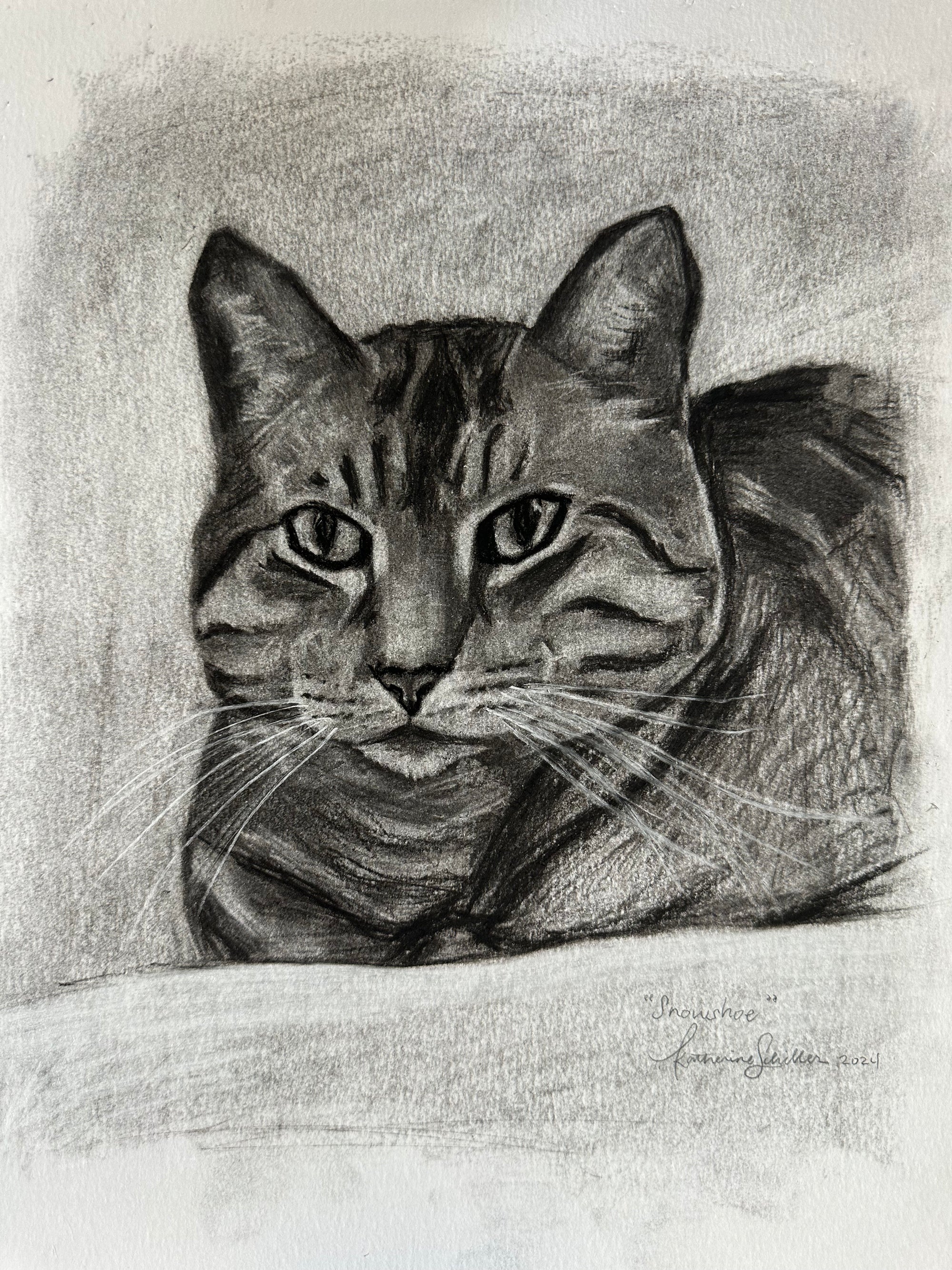CUSTOM Charcoal Pet Drawing 11"x14"