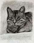 CUSTOM Charcoal Pet Drawing 11"x14"