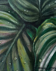 Mini Tropical Plant 