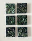 Mini Tropical Plant 